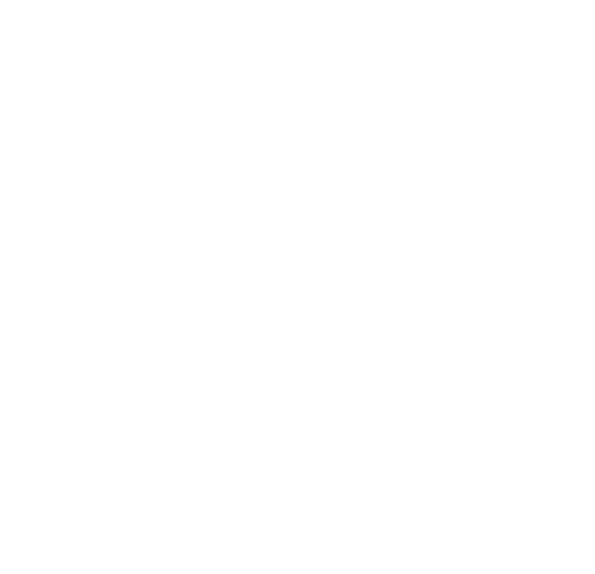X16E