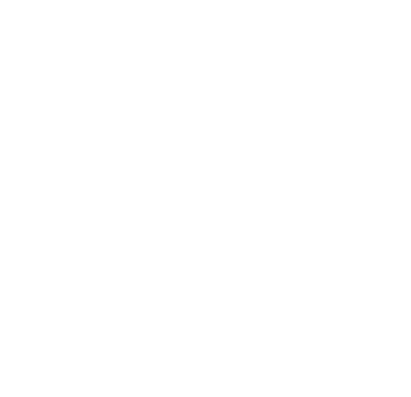 X16E