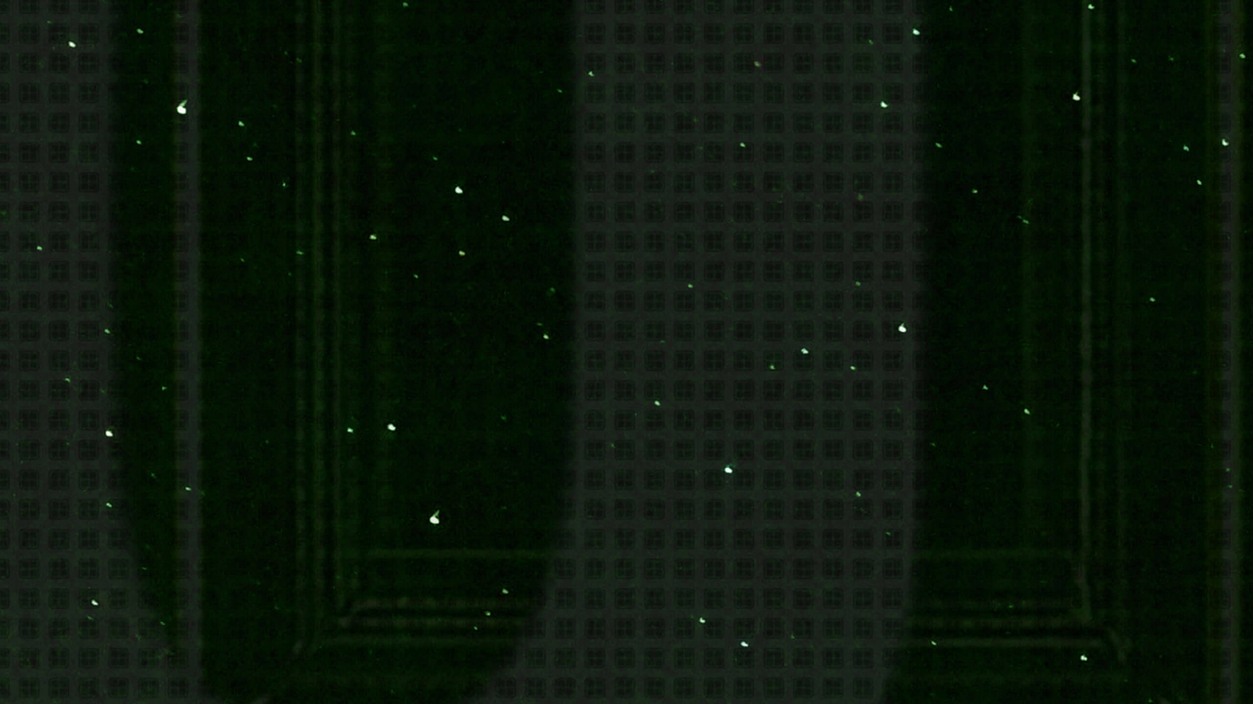X16E