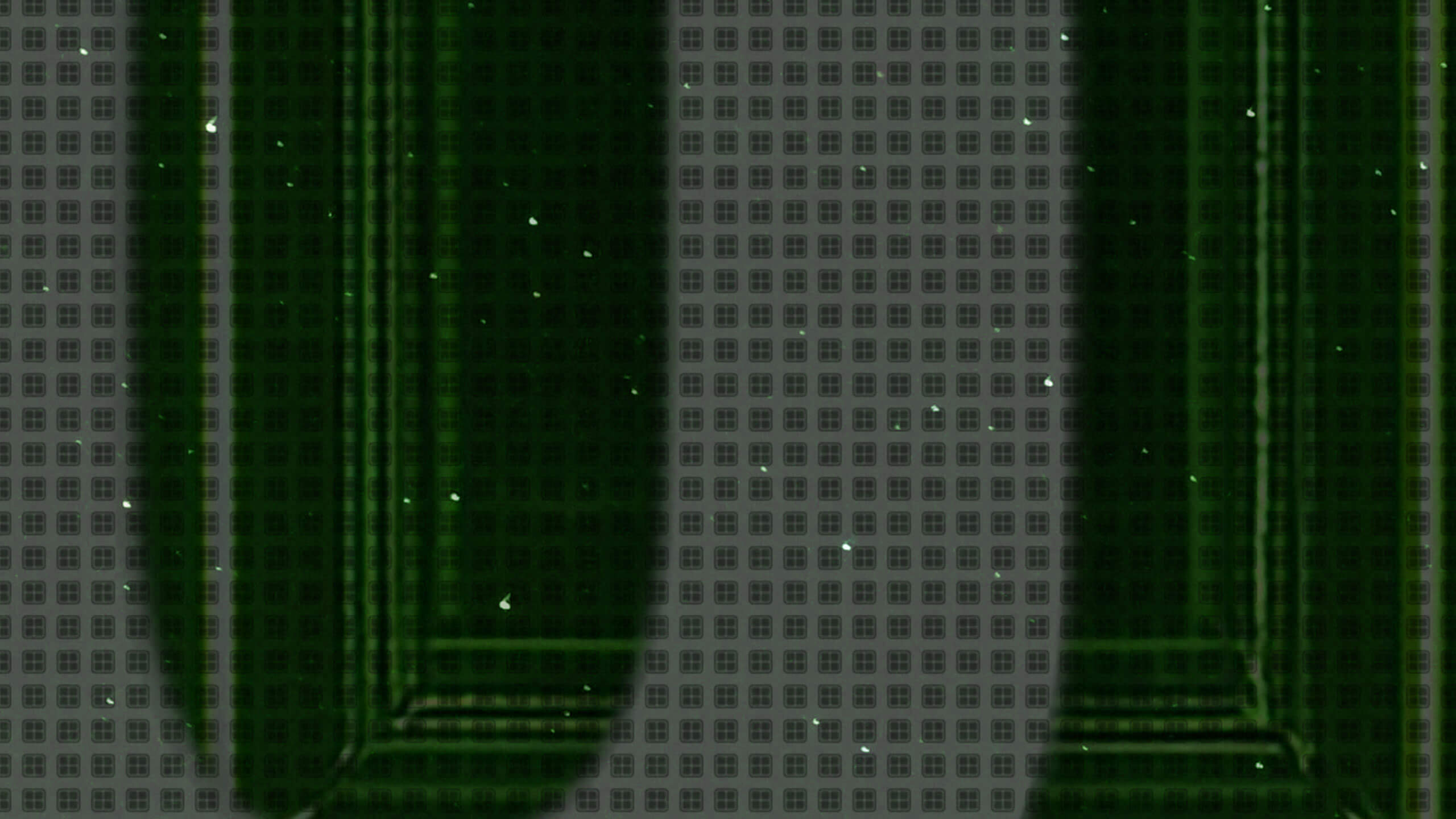 X16E