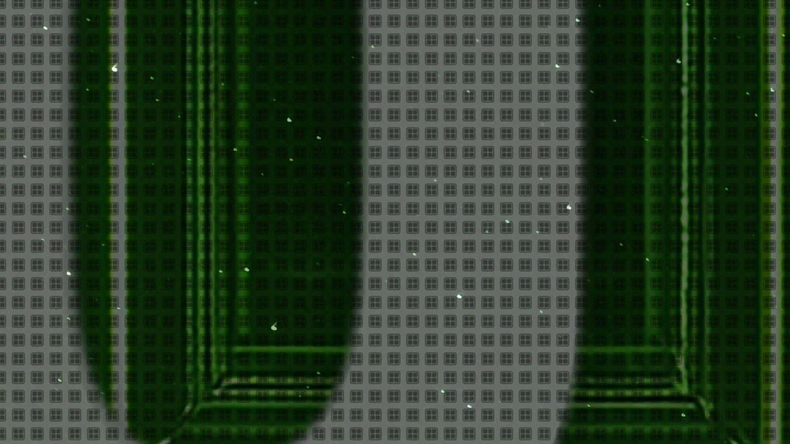 X16E