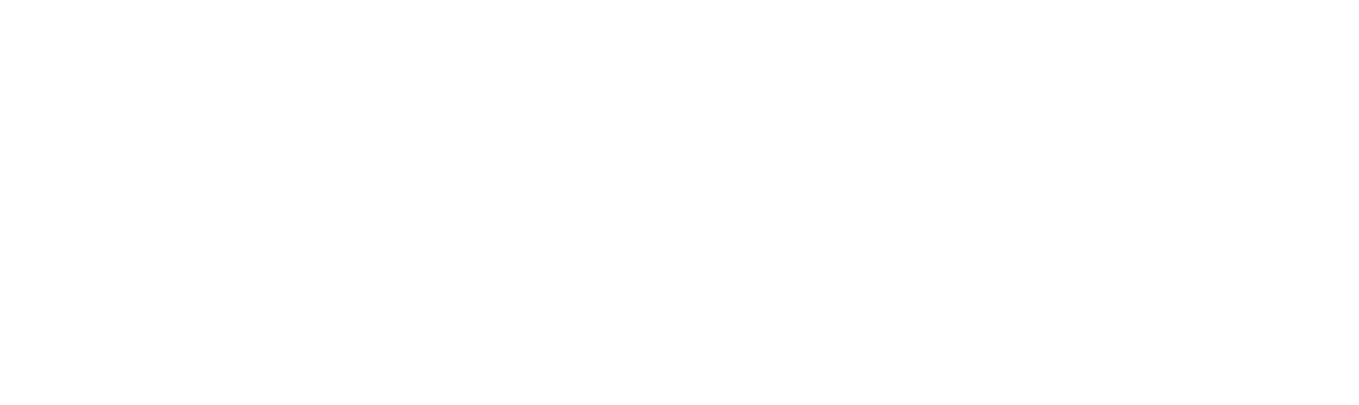 X16E