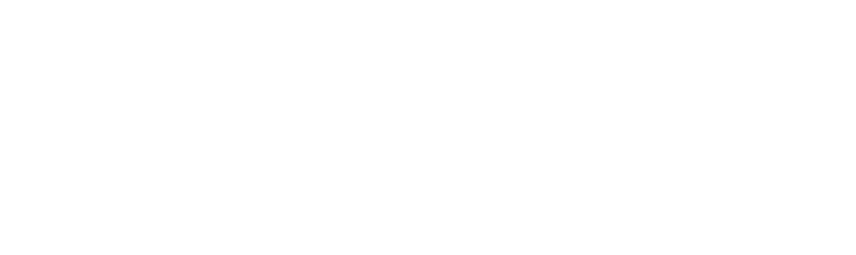X16E