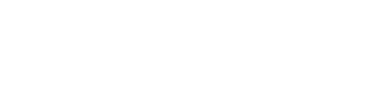 X16E
