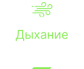 X16E