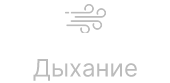 X16E