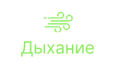 X16E